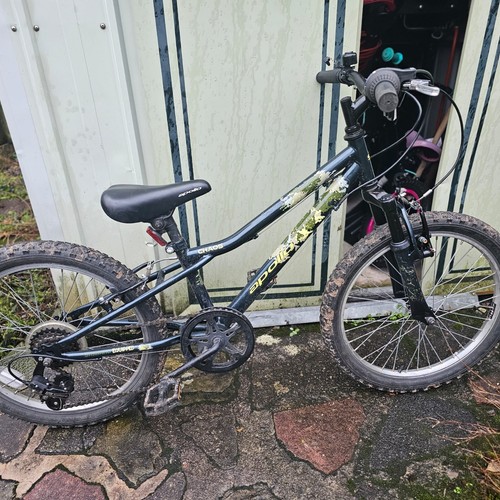 Childs bike inch - childs, 20