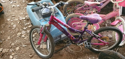 Bike girls kids - girls, purple
