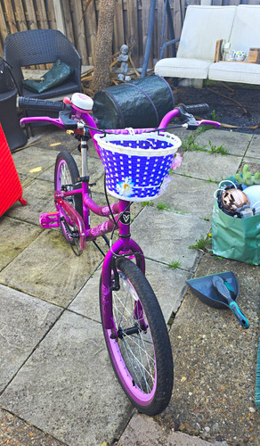 Girls 20in purple - girls, purple/pink
