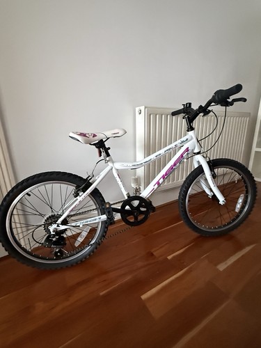 Tiger angel inch bicycle - 20,