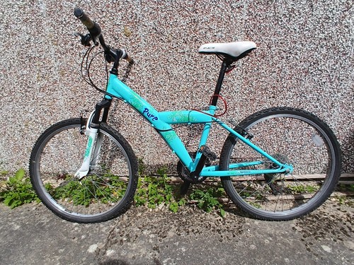 Girls bike inch brought - girls, 20