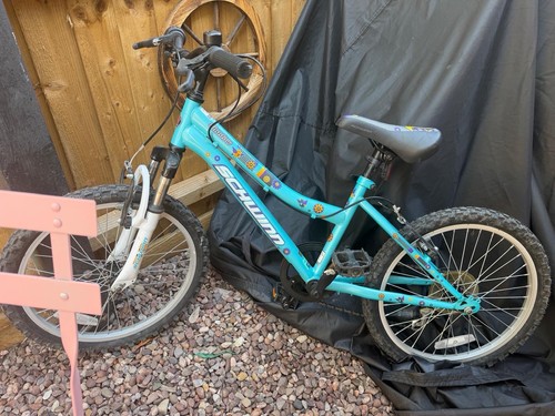 Schwinn girls bike - schwinn, 20