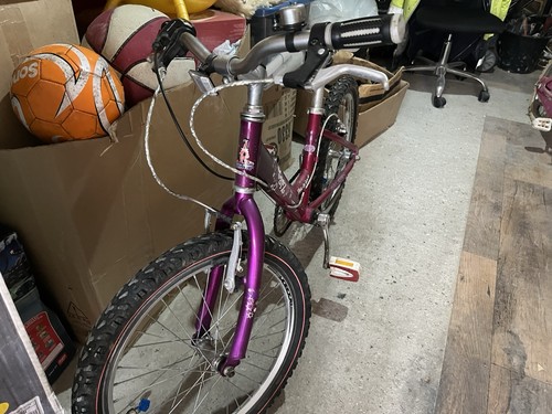 Girls mountain bike - girls,