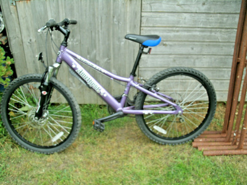 Girls mountain bike wheels - mountain,